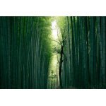 Bambus- Brennessel- und Baumwollgarne