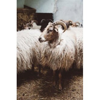 100% mohair yarn or mohair blends